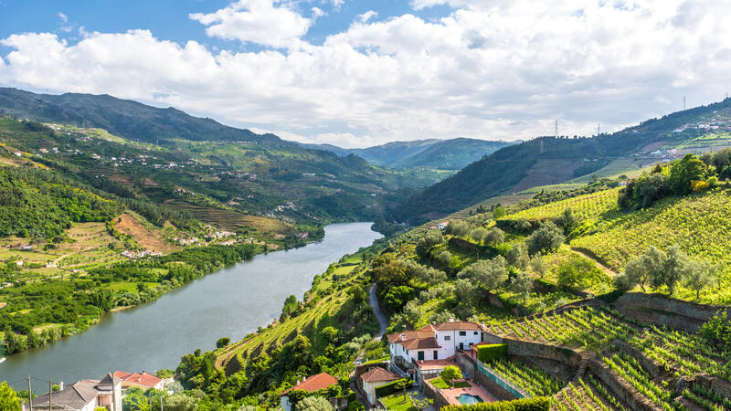 Romance of the Douro River