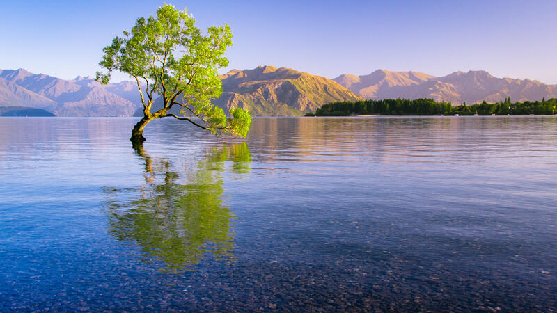 Lake Wanaka