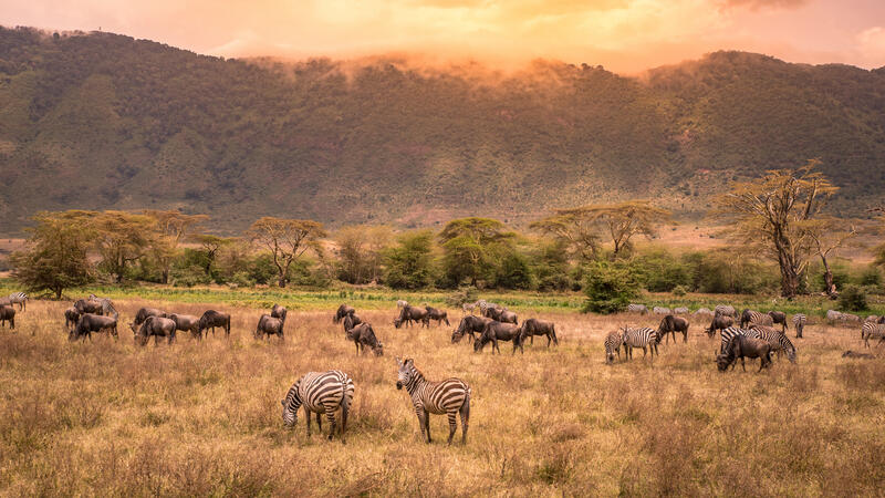 Ngorongoro Crater Sunset