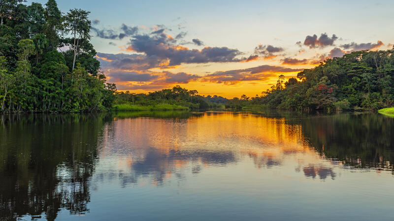 Amazon River Basin