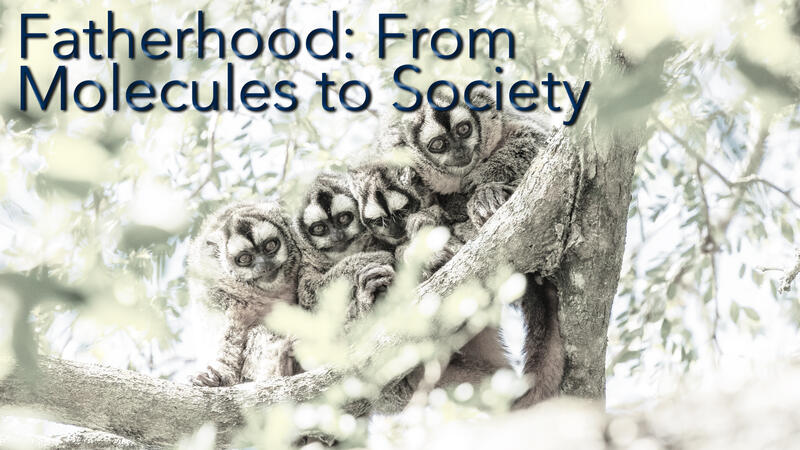 Fatherhood: From Molecules to Society
