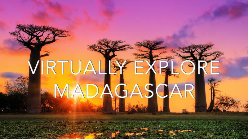 Virtually Explore Madagascar