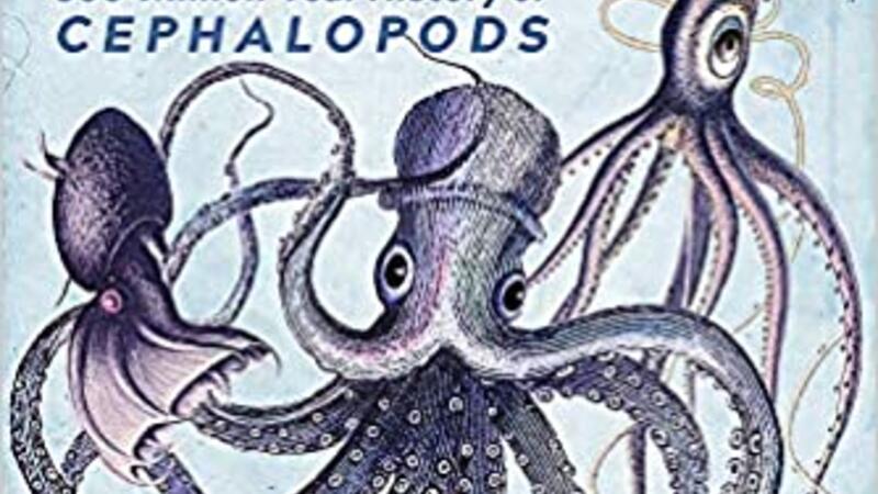 Monarchs of the Sea: The Extraordinary 500-Million-Year History of Cephalopods