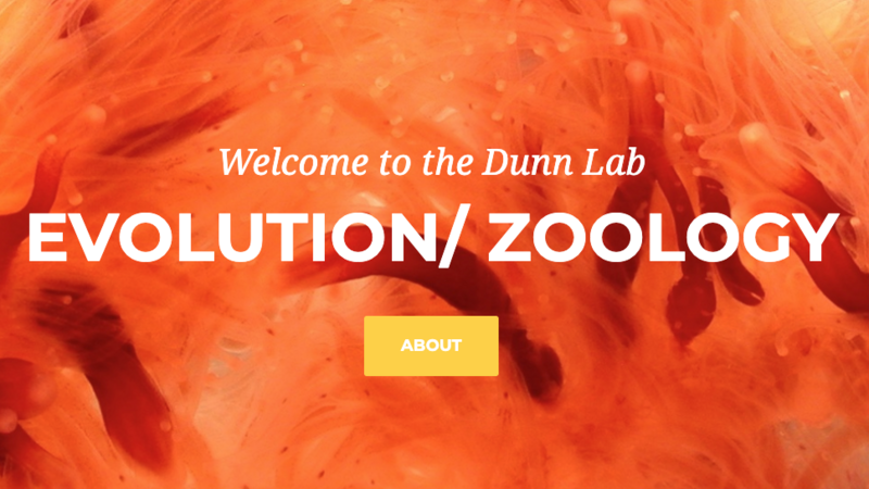 The Dunn Lab