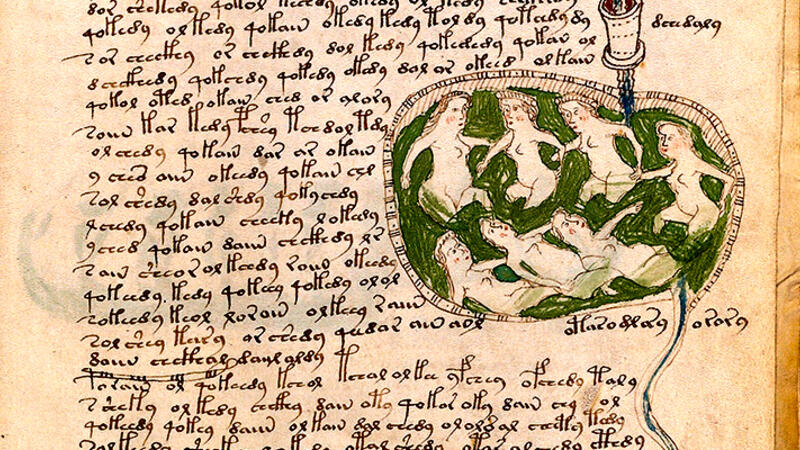 Voynich Manuscript 2