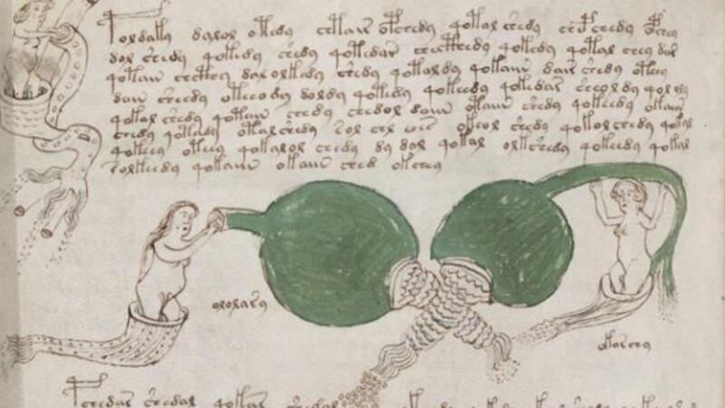Voynich Manuscript 3
