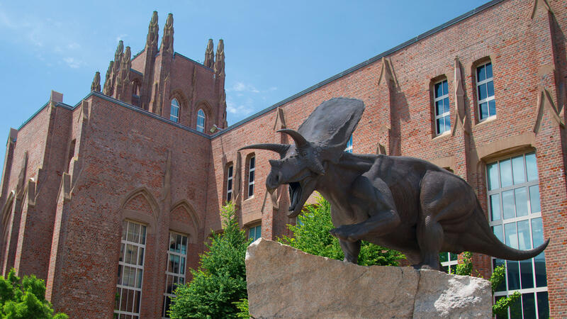 Yale Peabody Museum