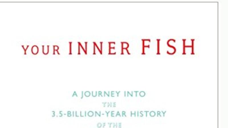 Your Inner Fish