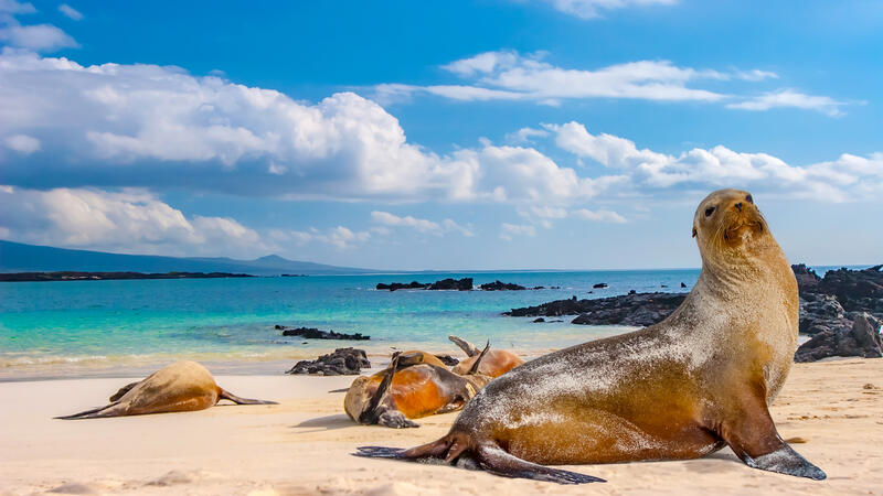 Cruising Galapagos Islands