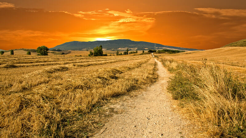 Sunset on the Camino de Santiago