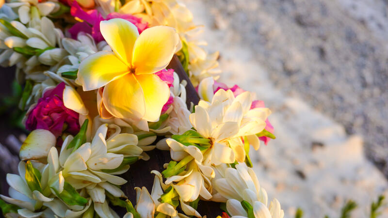 A lei of colorful tropical flowers