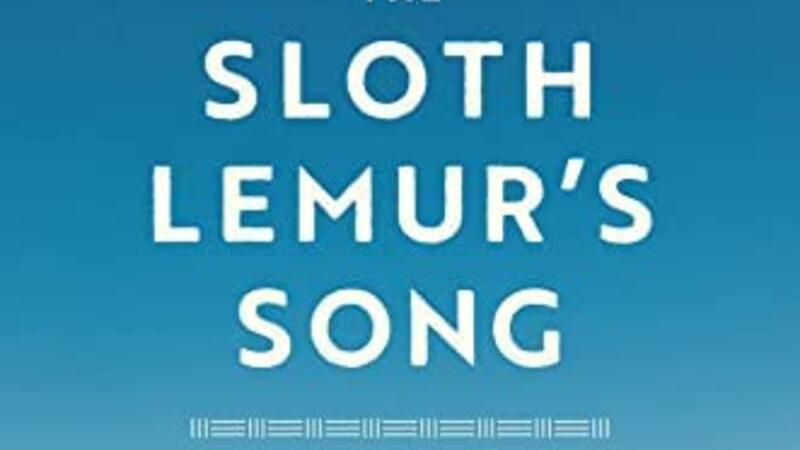 The Sloth Leamur's