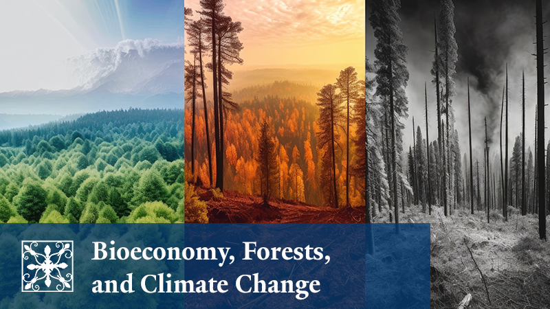 Bioeconomy, Forests, and Climate Change
