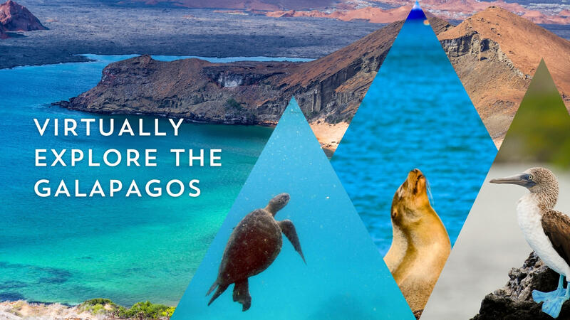 Virtually Explore the Galapagos