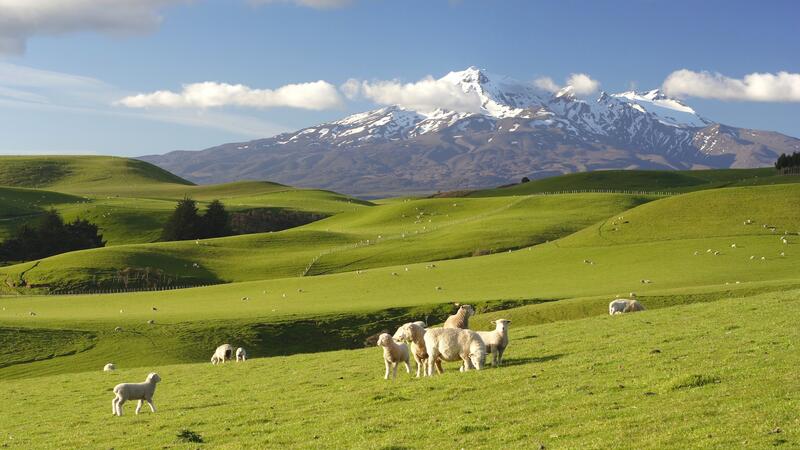 New Zealand aboard the Heritage Adventurer