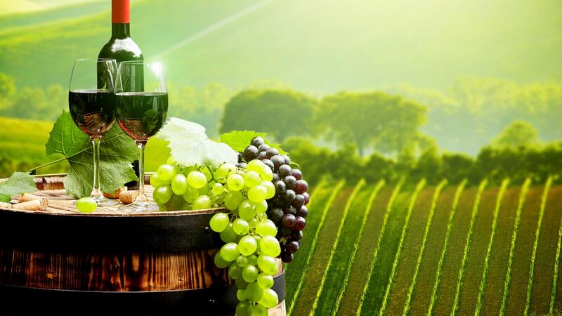 Wine in Siena