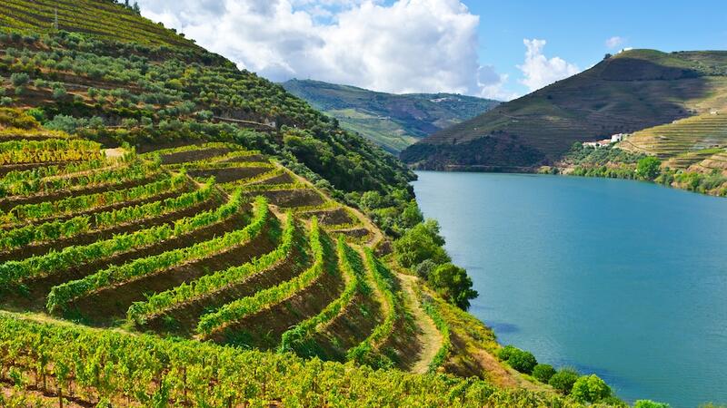 The Douro Valley