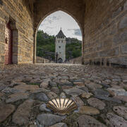 Shell on path to Camino de Santiago